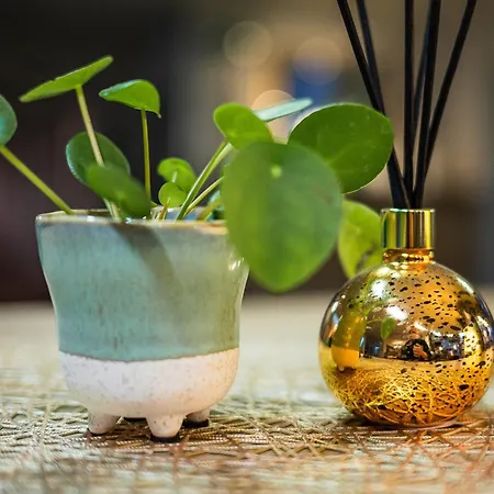 Lifehotel Vienna Airport Szálloda Fischamend