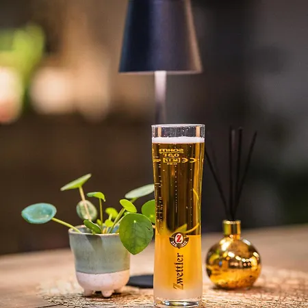 Lifehotel Vienna Airport 4* Fischamend