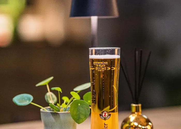 Lifehotel Vienna Airport 4* Fischamend